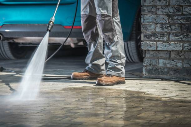 Best Fleet Vehicle Washing  in Elburn, IL