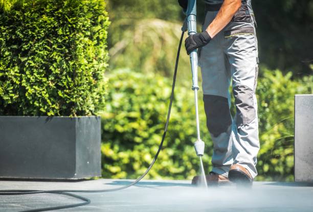 Best Building Exterior Washing  in Elburn, IL
