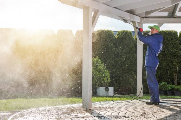 Best Roof Washing  in Elburn, IL