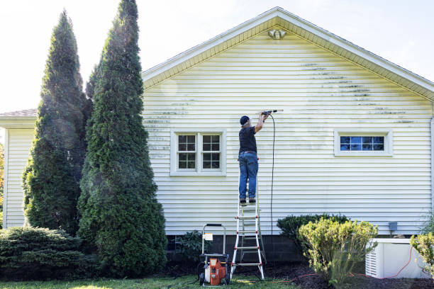 Best Building Exterior Washing  in Elburn, IL