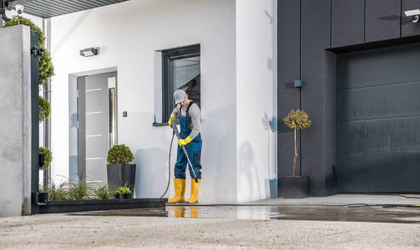 Best House Exterior Washing  in Elburn, IL